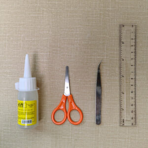 scissors tweezers ruler glue