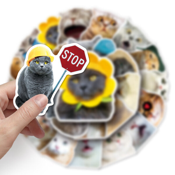oly-c2ad8af0e4d66d604c7f8ac6b666860a Wholesale 50pcs cat expression bag graffiti personality sticker