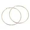 Wholesale PVD Coated 18K Gold Plated Round 304 Stainless Steel Exaggerated Waterproof Non Tarnish Hoop Earrings