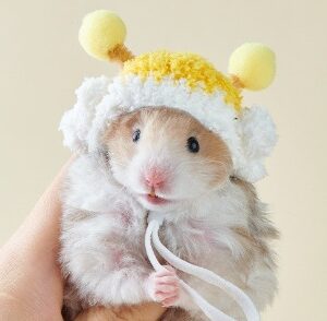 Little Bee
