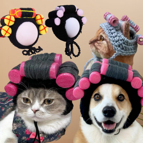 Wholesale cute and funny pet headgear