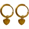 Wholesale 1 Pair Fashion Heart Shape Plating Titanium Steel Drop Earrings