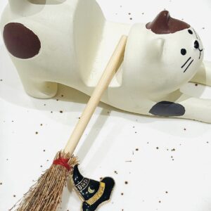 Black witch hat style