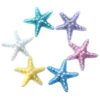 Wholesale small size simulation starfish resin accessories DIY hairpin shoe buckle resin small accessories DIY storage box cross-border explosions