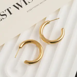 Titanium Steel C- Shaped Earrings