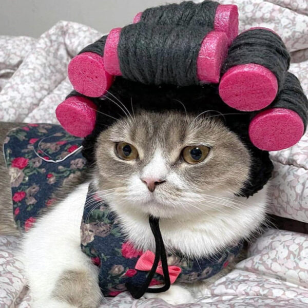 Wholesale cute and funny pet headgear