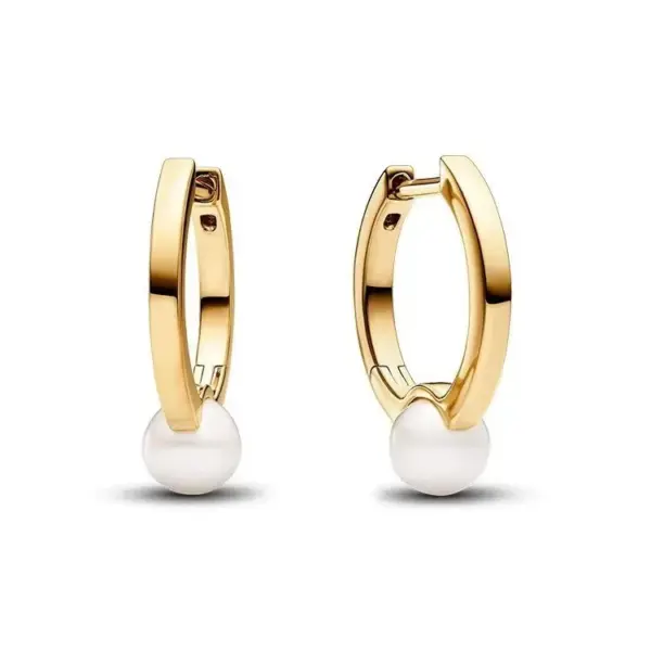 Wholesale Geometric Earrings Gold Silver Plated Stud Earrings Pearl Starfish Fashion Luxury Gift Elegant Romantic Simple Exquisite Zircon