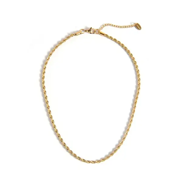 Wholesale PVD Coated 18K Gold Real Gold Plated Twist 304 Stainless Steel Simple Style Waterproof Non Tarnish 304 Stainless Steel Necklace