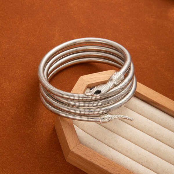 oly-c78e35348183f981fac509766712e521 Wholesale Cross-border Europe and the United States Exaggerated Metal Bracelet Golden Winding Year Snake Bracelet Retro High-grade Light Luxury Jewelry