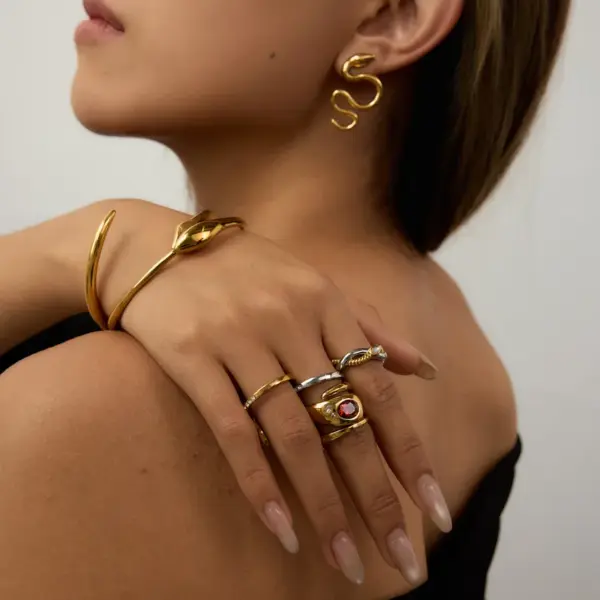 304 Stainless Steel Snake PVD Coated Zircon 18K Real Gold Plated Real Gold Plated Basic Classic Style Commute Waterproof Non Tarnish Rings