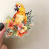Wholesale 50 sheets transparent ins watercolor bird sticker bag waterproof transparent PET hand account material decorative guitar notebook batch