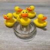 Wholesale Middle Finger Duck Toy