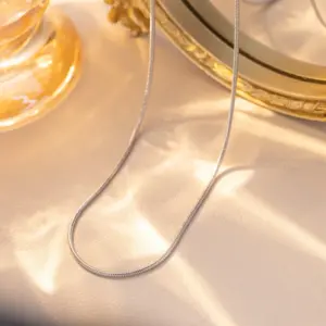 1.2-Round Snake Chain 40+5cm--steel Color / Individually Packaged