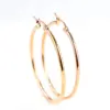Simple Style Round Titanium Steel Plating Earrings 1 Pair