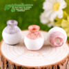 Wholesale Micro-landscape Fleshy Ornaments Resin Crafts Simulation Ceramic Small Vase Creative Home Desktop Small Ornaments