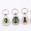oly-cc85a6c9d3f5a471632e820b18e5eec6 Wholesale Large Amber Glow-in-the-Dark Insect Keychain