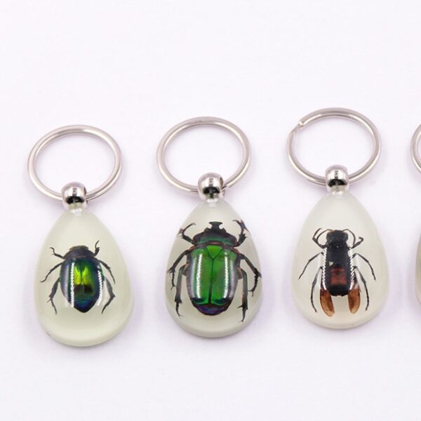 oly-cc85a6c9d3f5a471632e820b18e5eec6 Wholesale Large Amber Glow-in-the-Dark Insect Keychain