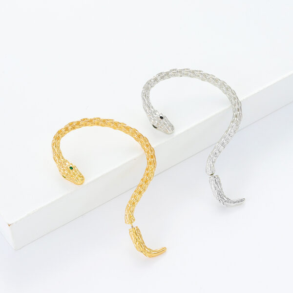 Wholesale European and American winding ear hook snake-shaped earrings punk retro exaggerated niche couple design earrings temperament earrings