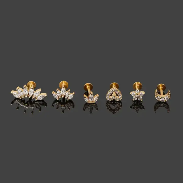 1 Piece Lip Rings Simple Style Classic Style Heart Shape Crown 316L Stainless Steel Waterproof Non Tarnish Surgical Steel Zircon Vacuum Plating K Gold Plated Lip Rings Ear Cartilage Rings & Studs