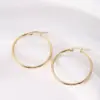 Wholesale Ion Plating (IP) 18K Gold Plated Round Titanium Steel Vintage Style Modern Style Simple Style Waterproof Non Tarnish Hoop Earrings