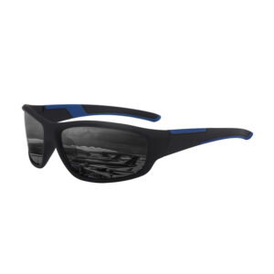 polarized light / blue gray
