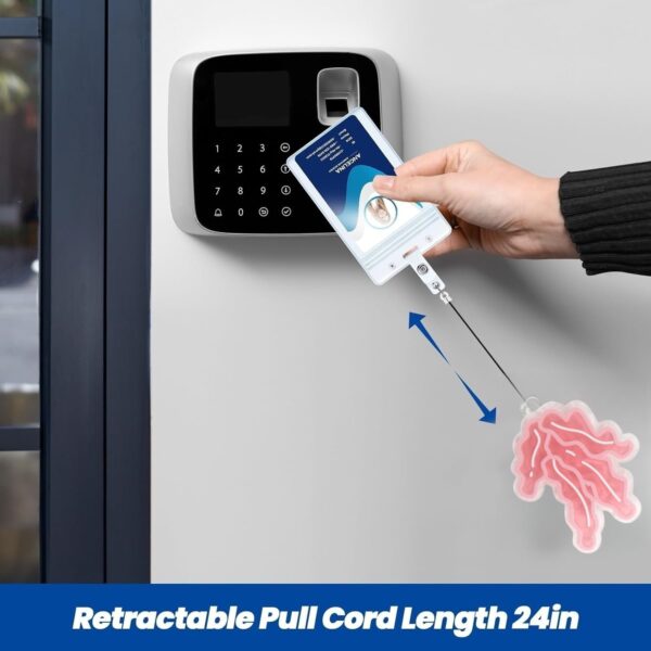 Wholesale Cross-border supply of colorful marine animal shells dolphin fish jellyfish creative shape retractable badge clip easy to pull buckle