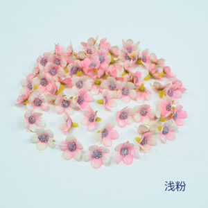 Shallow powder / About 2cm in diameter