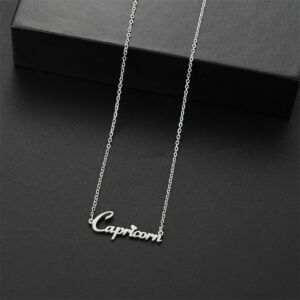 CAPRICORN STEEL