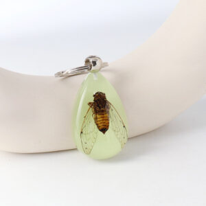 Little cicada / 4.5*3.1*1.5