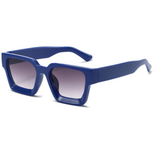 blue frame double gray