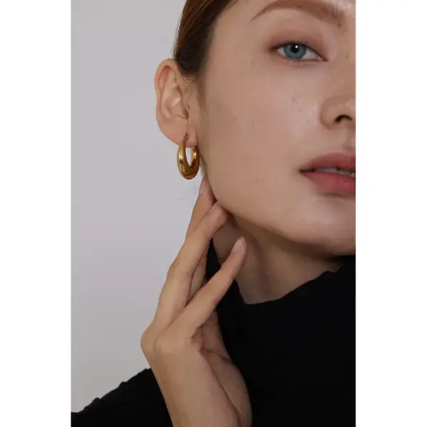 Wholesale 1 Pair Fashion Solid Color Plating 304 Stainless Steel 18K Gold Plated Stainless Steel Earrings