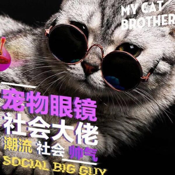 Wholesale Fashion Trend Pet Sunglasses Mini Personality Cat Prince Mirror Small Dog Glasses Novelty Funny Sunglasses