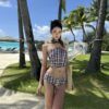 oly-d02a958704a4f1344346ae18b787e728 Wholesale Jennie's Same Niche High-End Retro Plaid Sexy Split Bikini Sexy Small Breast Hot Spring Swimsuit