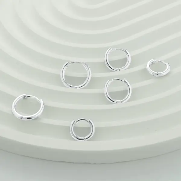 Polished Stainless Steel Earrings Simple Personality Titanium Steel Round Wire Hoop Earrings Neutral Style