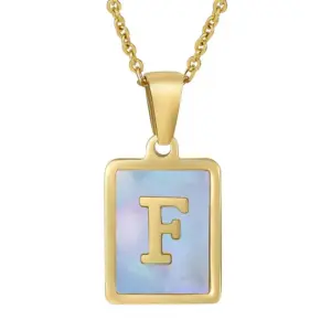Blue Shell F (Including Chain) / 18K