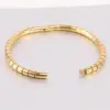 Wholesale Simple Style Solid Color Stainless Steel Plating Gold Plated Bangle