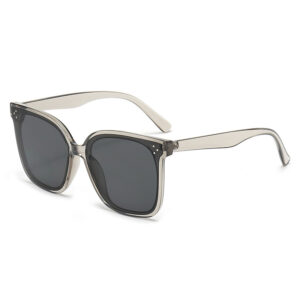 Transparent gray frame gray piece