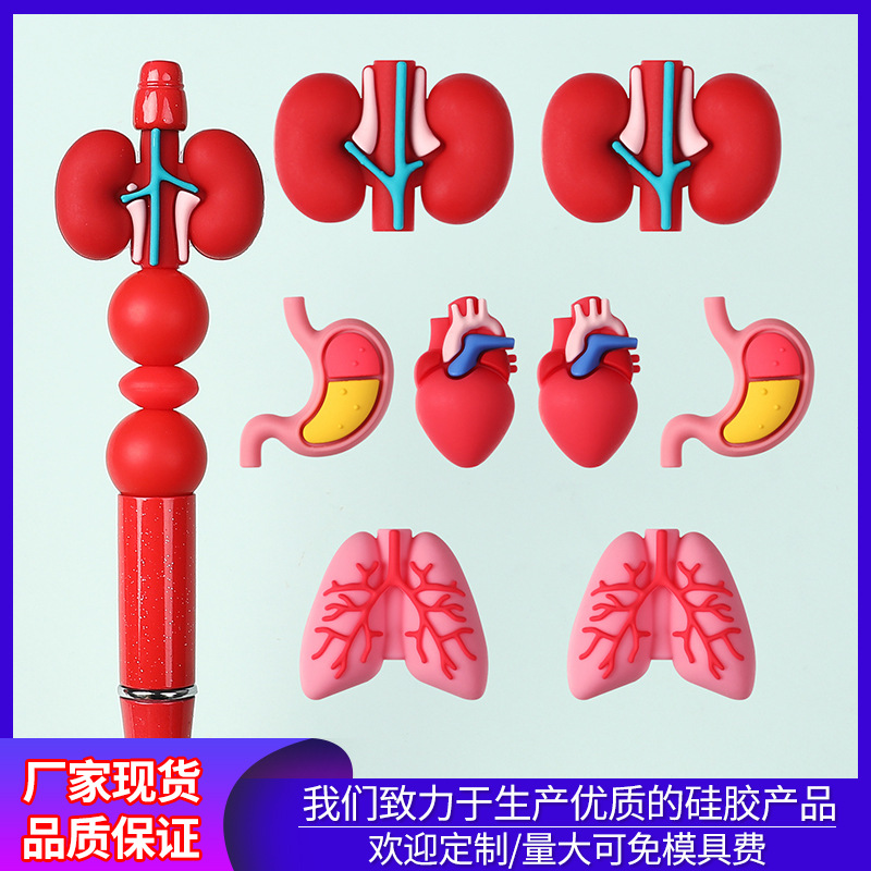 Wholesale Medical and Nursing Educational Silicone Beads