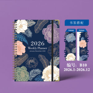 January 2026 - december 2026 / B10