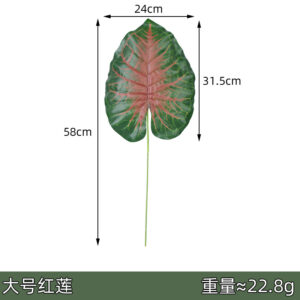 Large red lotus leaves