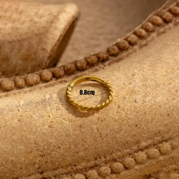 316 Stainless Steel Round Simple Style Earrings For Women's