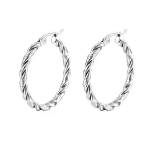 2 Twisted Earrings / Steel Color