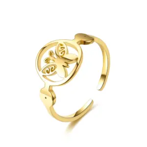 Ring 1 / Adjustable Opening