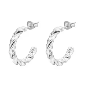 Twisted 20mm Steel Earrings