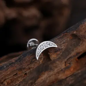 3381 Silver / Ear Studs