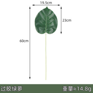 Glued pothos