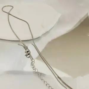 1.2mm Steel round Snake Bones Chain / 40 5cm Extension Chain