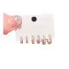 Wholesale New Smooth Geometric Round Zircon Hoop Earrings Simple Versatile Fashionable Ear Stud Rings Women's Jewelry Accessories