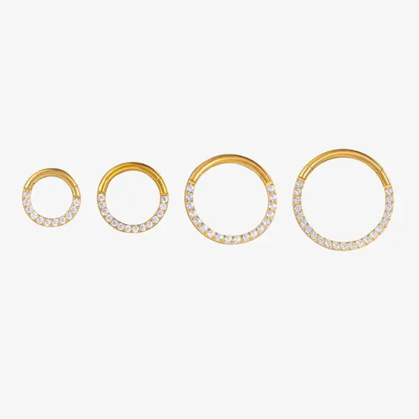 1 Piece Nose Rings & Studs Fashion Round Pure Titanium Inlay Zircon Nose Pin