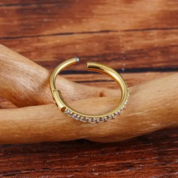 Wholesale 1 Piece Nose Rings & Studs Simple Style Shiny Solid Color G23 Titanium Inlay Zircon Ear Cartilage Rings & Studs Nose Rings & Studs Nose Pin